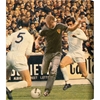 Picture of COPA Football - Scotland 1960's Short Sleeve Retro Shirt