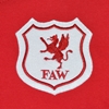 Picture of Wales Retro Football Shirt 1920's