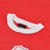 Picture of Wales Retro Football Shirt 1920